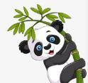 初次破门视频APP